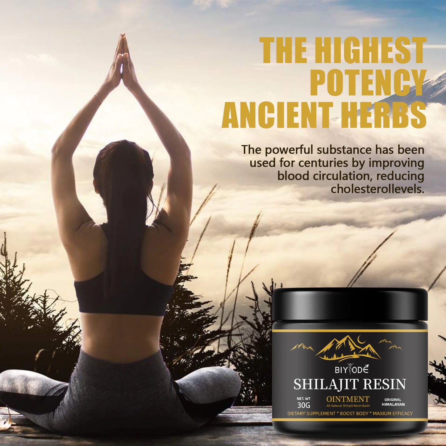 Natural Pure Shilajit Resin 30g
