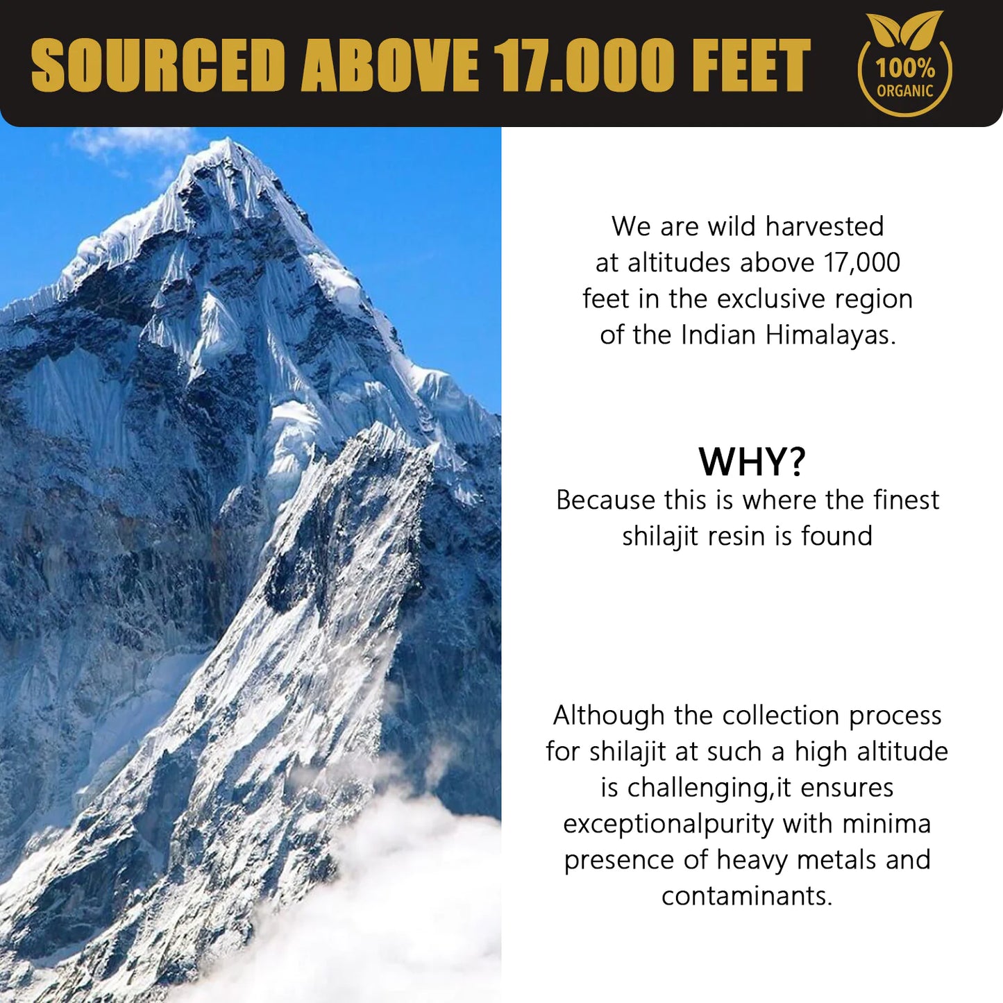 Natural Pure Shilajit Resin 30g