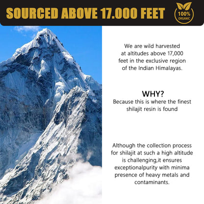 Natural Pure Shilajit Resin 30g